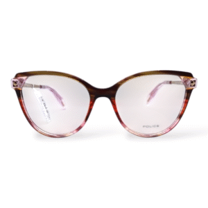 Police stagedive14 VPLL27 c06DB