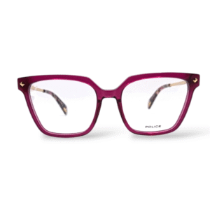 Police stagedive8 VPLD26 c0V64